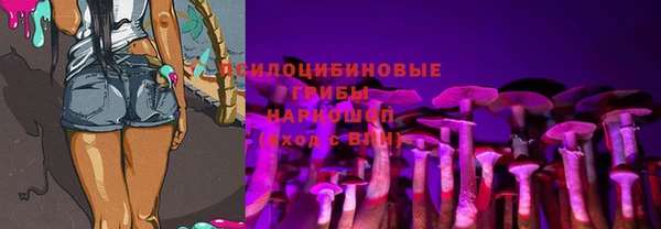 тгк Гусиноозёрск