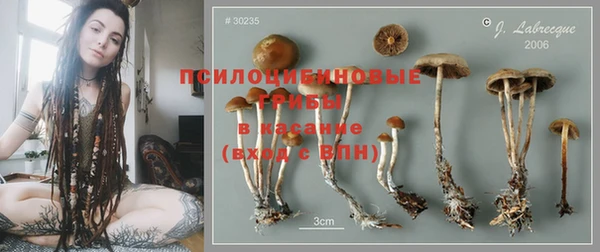 бошки Гусев
