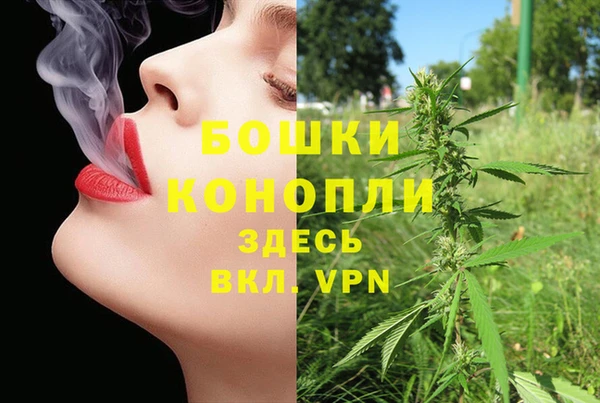 молекула духа Гусь-Хрустальный