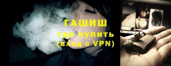 шишки Новодвинск