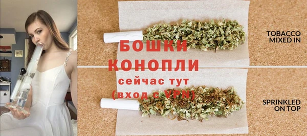шишки Новодвинск