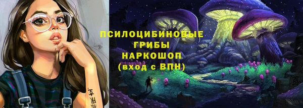 спиды Новокубанск
