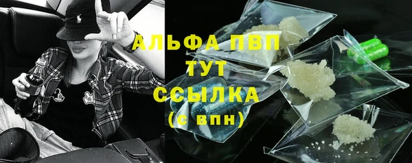 бошки Гусев