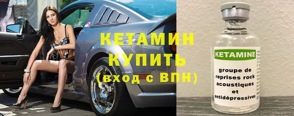 шишки Новодвинск