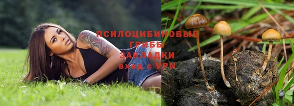 спиды Новокубанск